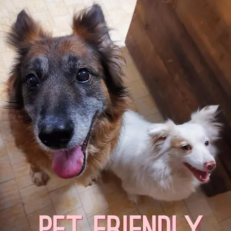 Casa Dorita - Free Coffee Corner 8-12 ホテル