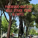 Casa Dorita - Free Coffee Corner 8-12 Hotel