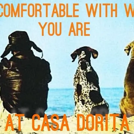 Hotel Casa Dorita - Free Breakfast Corner 8-12