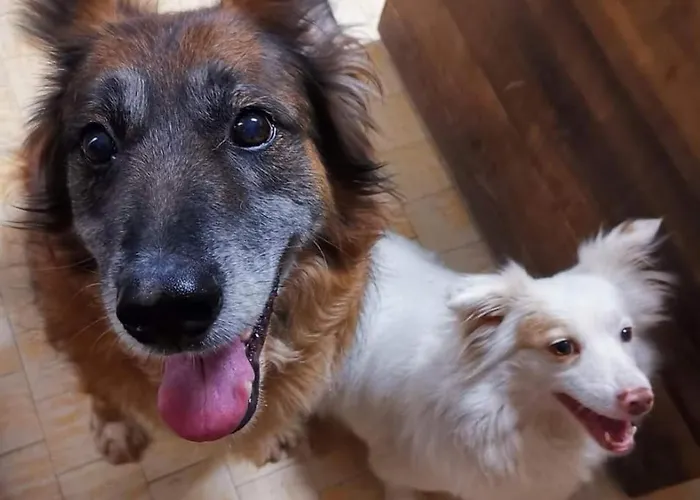 Casa Dorita - Free Coffee Corner 8-12 Hotell