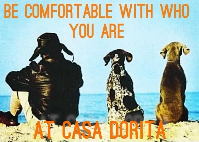 酒店 Casa Dorita - Free Coffee Corner 8-12