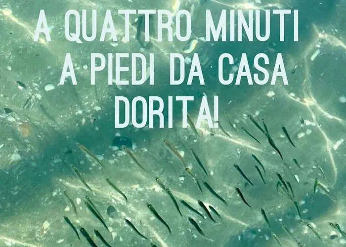 Casa Dorita - Free Coffee Corner 8-12 Hotell